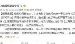 陈老师最新爆料视频网页,揭秘事件背后惊人真相！