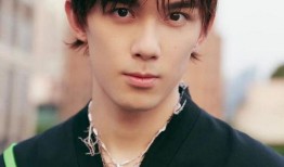 吴磊最新消息大爆料,揭秘演艺圈幕后真相